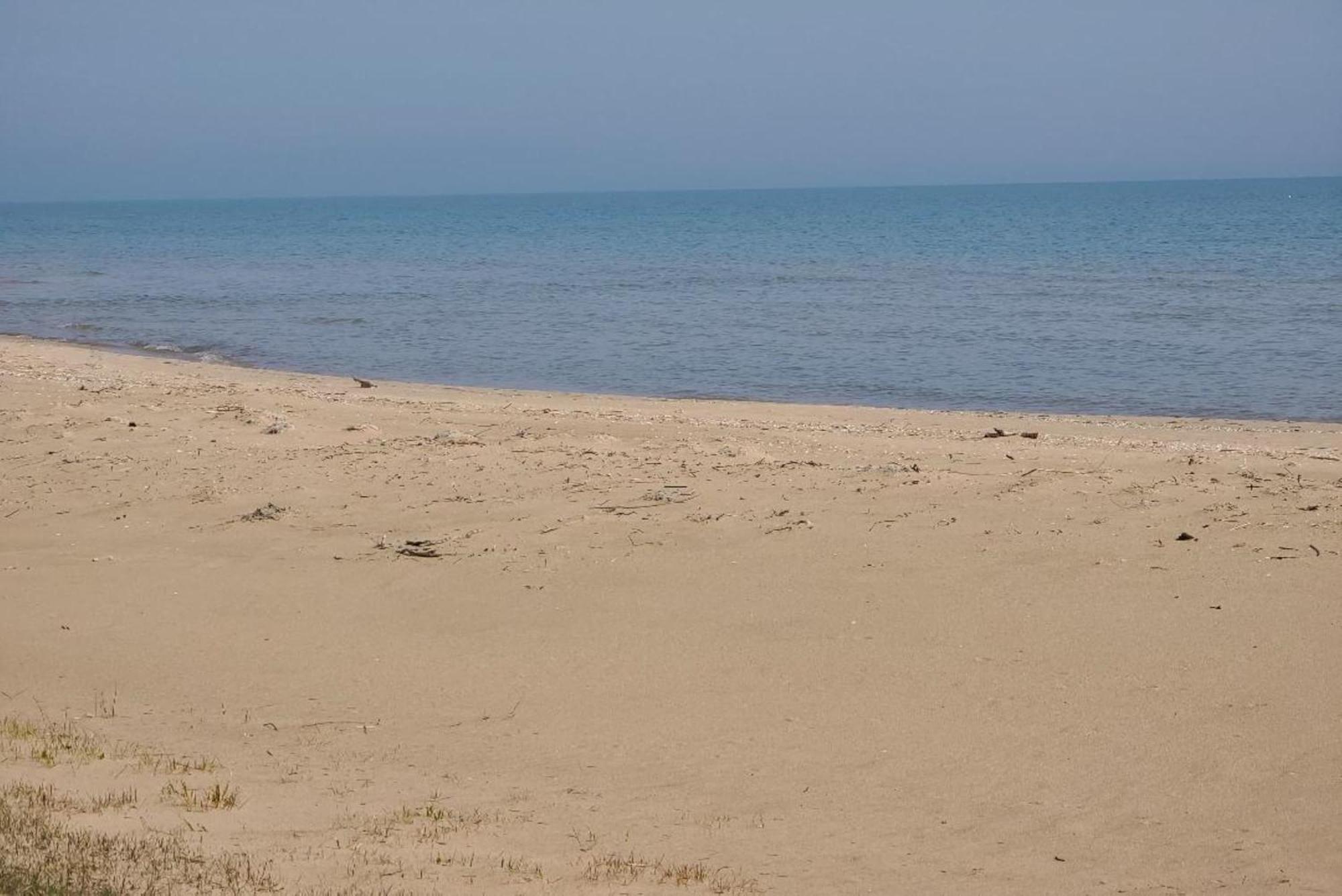Huron - Super Cute Front Hébergement de vacances Oscoda